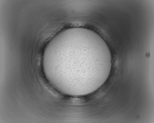 X0000113140315200909251310