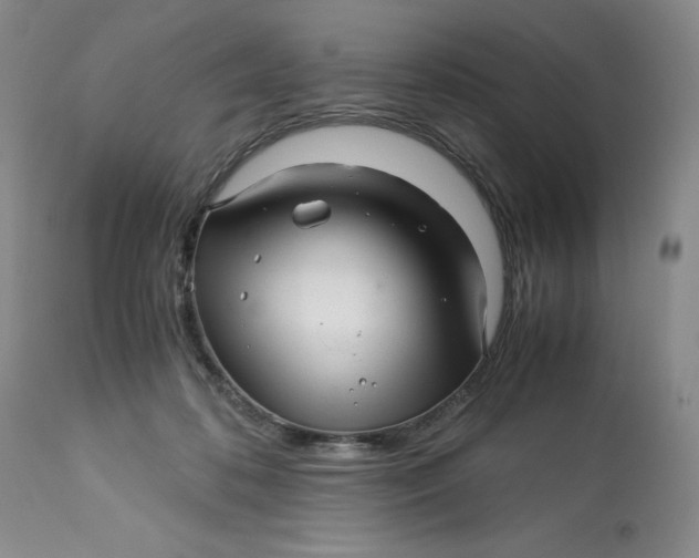 X0000113140316200909251310