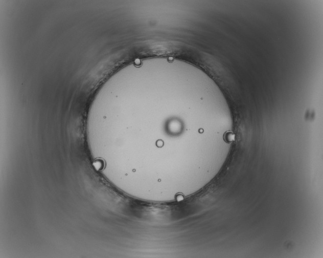 X0000113140317200909251310