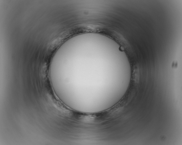 X0000113140318200909251310