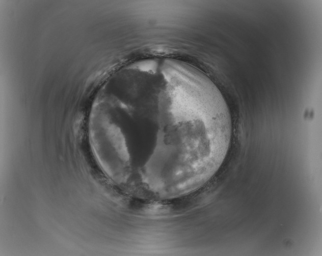 X0000113140319200909251310