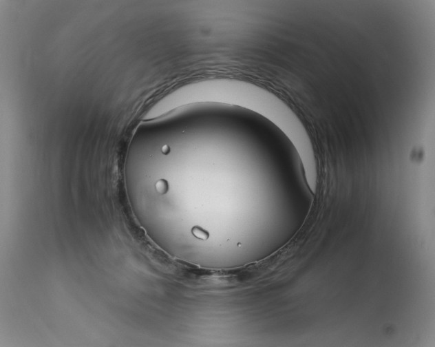 X0000113140320200909251310