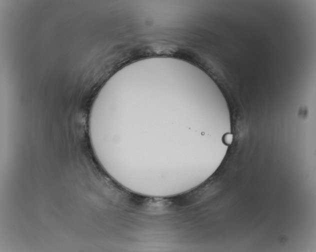 X0000113140321200909251310