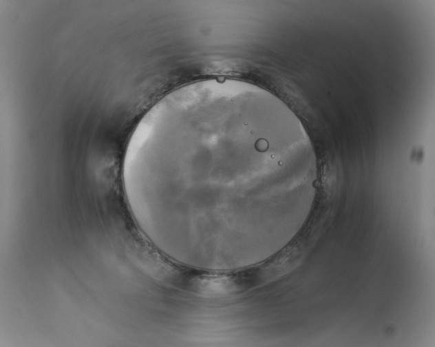 X0000113140322200909251310