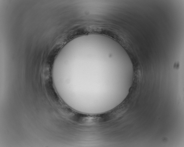 X0000113140323200909251310