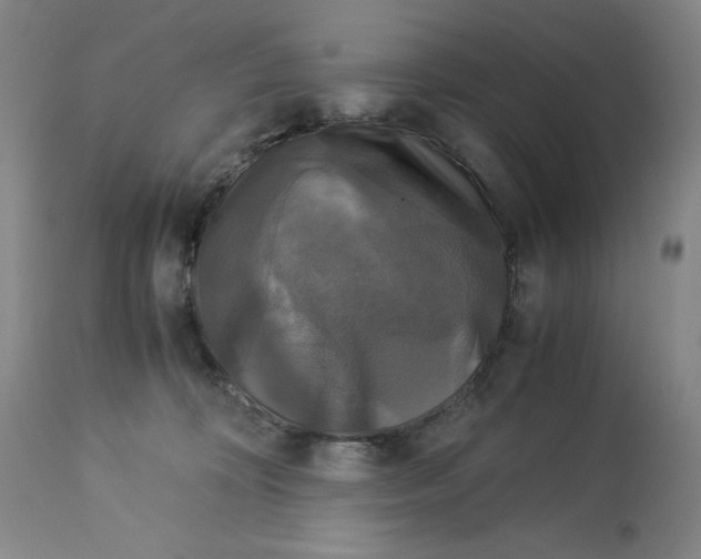 X0000113140324200909251310