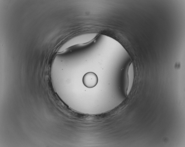 X0000113140325200909251310