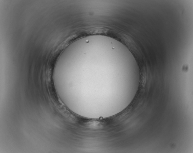 X0000113140326200909251310