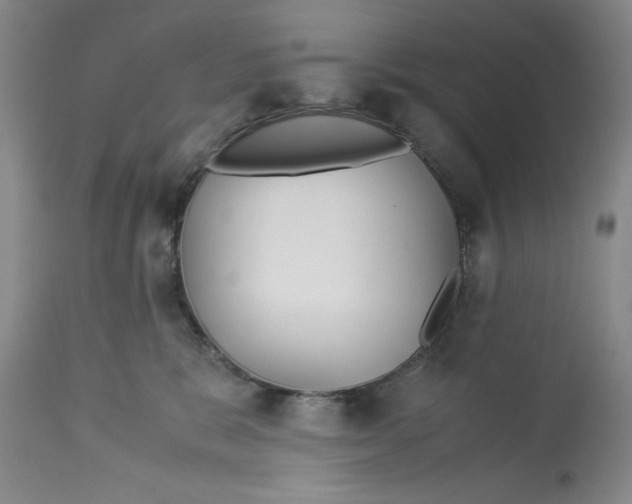 X0000113140327200909251310