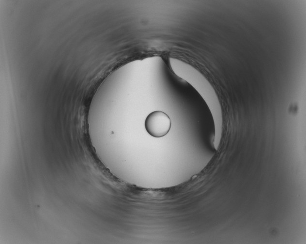 X0000113140328200909251310