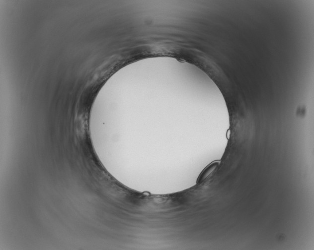 X0000113140329200909251310