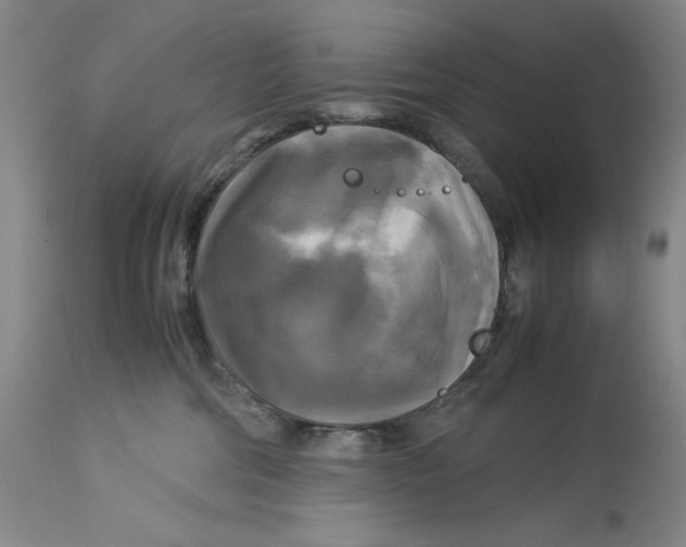 X0000113140330200909251310