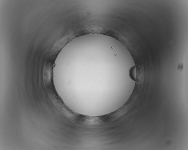 X0000113140334200909251310