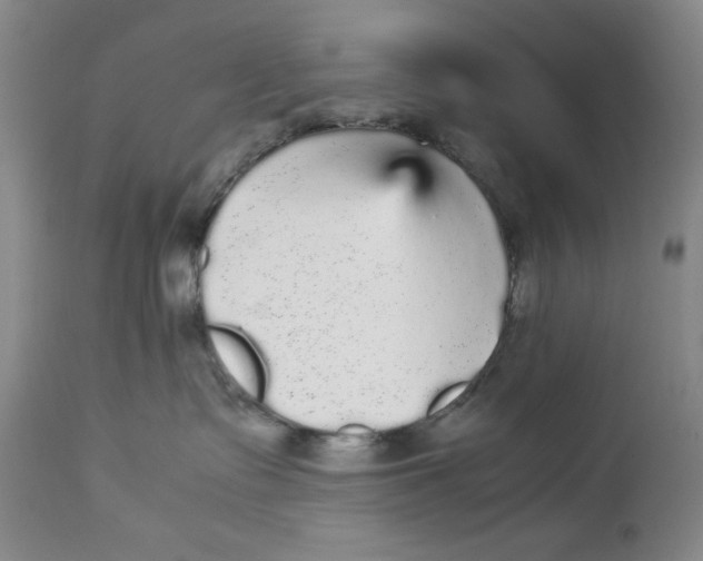 X0000113140335200909251310