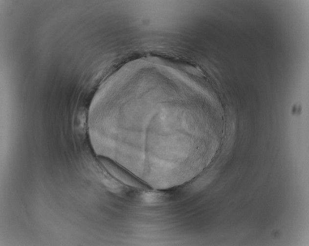 X0000113140336200909251310