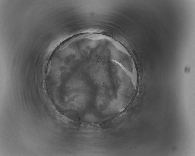 X0000113140337200909251309