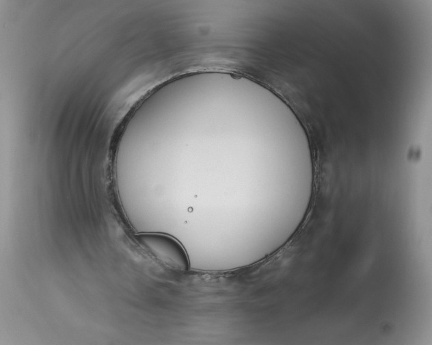 X0000113140338200909251309