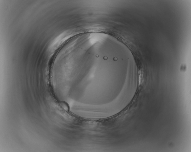 X0000113140339200909251309