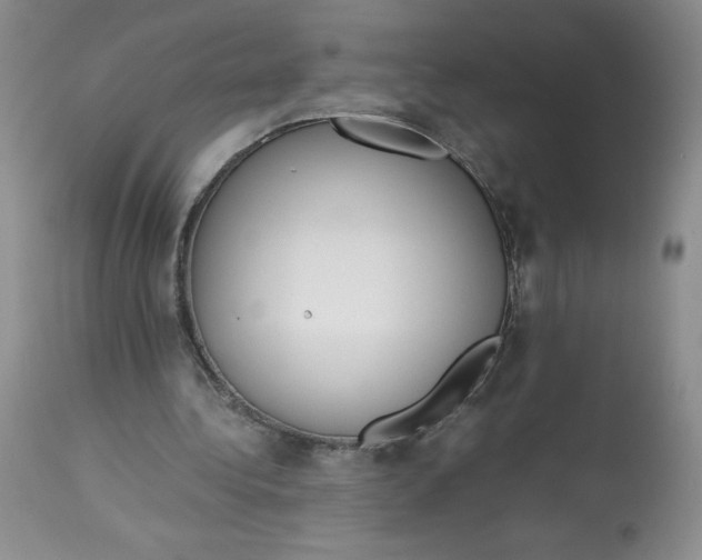 X0000113140340200909251309