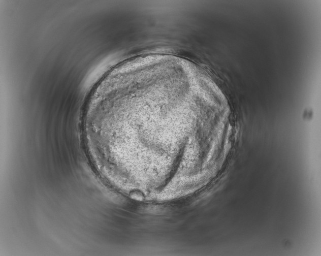 X0000113140341200909251309