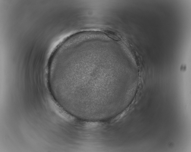 X0000113140342200909251309