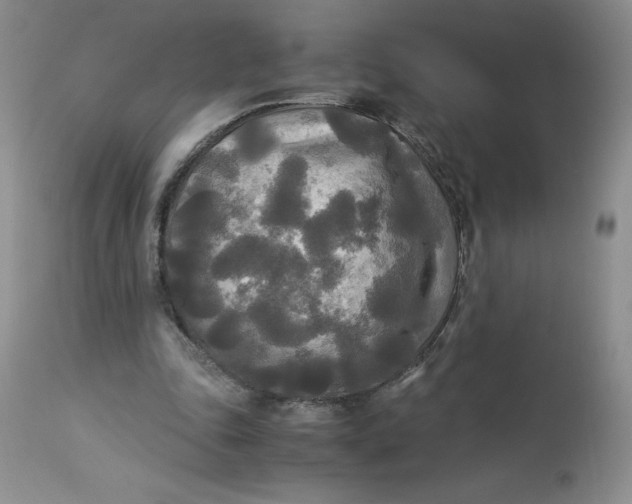 X0000113140343200909251309