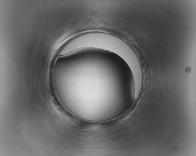 X0000113140344200909251309