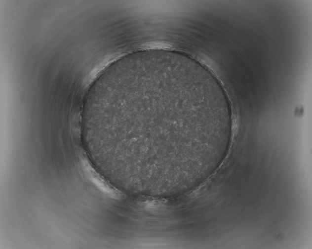 X0000113140345200909251309