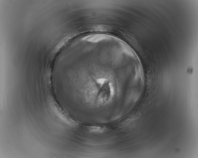 X0000113140347200909251309