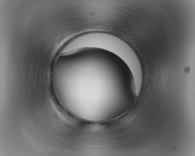 X0000113140348200909251309