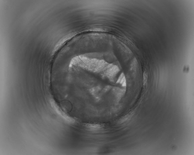 X0000113140349200909251309