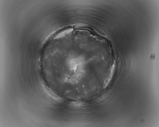 X0000113140351200909251309