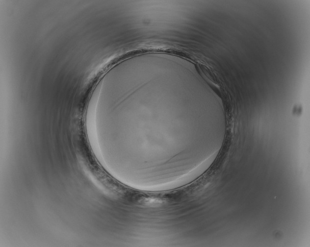 X0000113140352200909251309