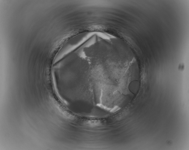 X0000113140353200909251309