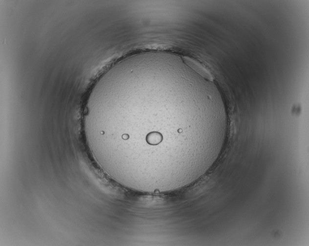 X0000113140354200909251309