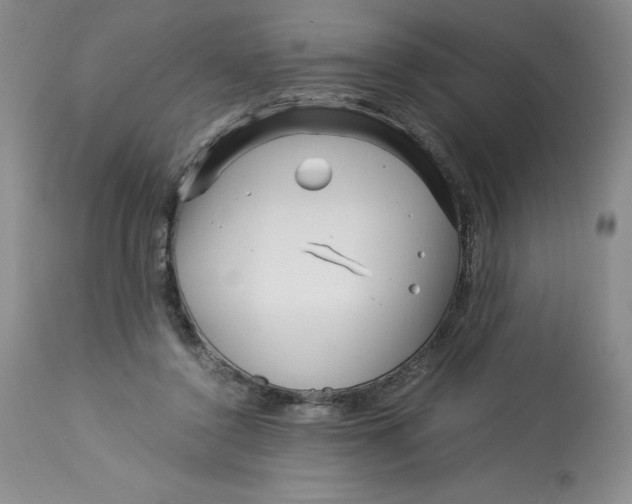 X0000113140356200909251309