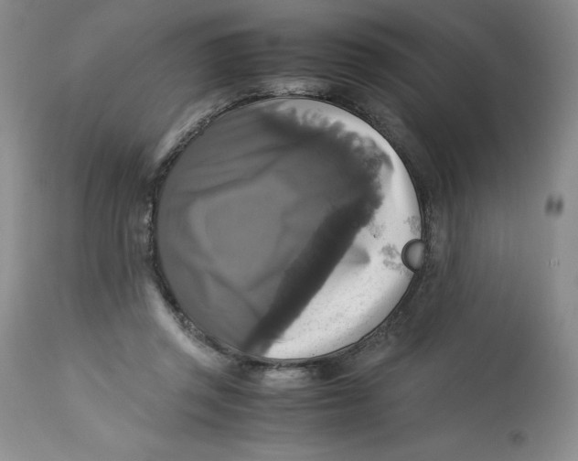 X0000113140357200909251309