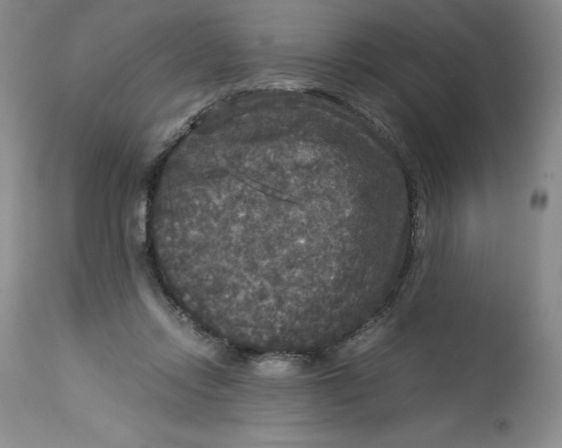 X0000113140358200909251309