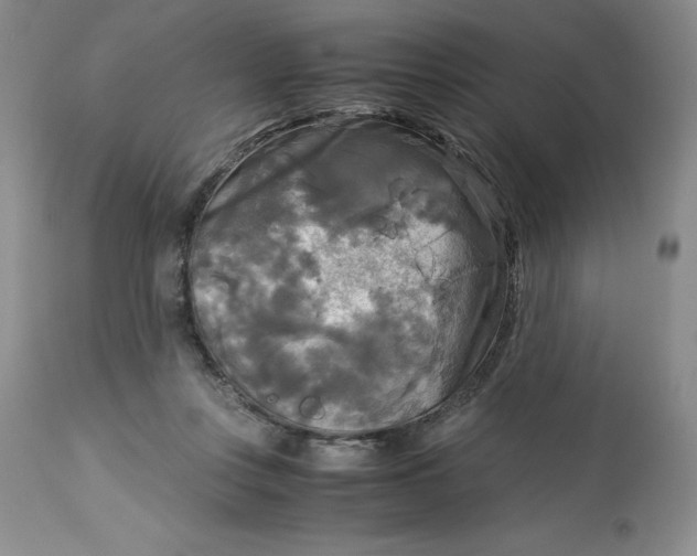 X0000113140359200909251309