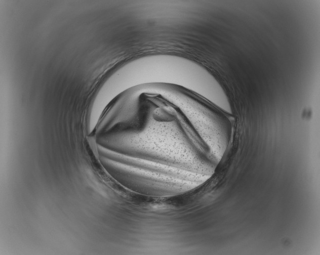 X0000113140360200909251310