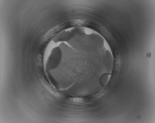 X0000113140361200909251310