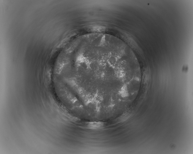 X0000113140363200909251310