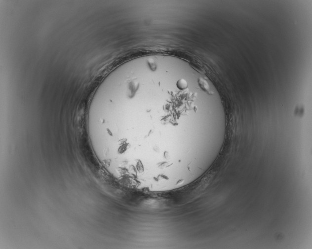 X0000113140364200909251310