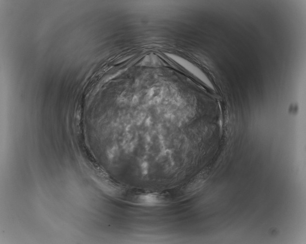 X0000113140365200909251310