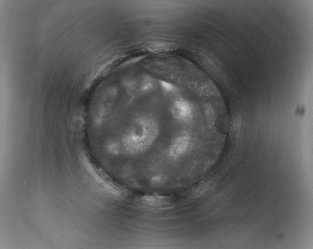 X0000113140367200909251310