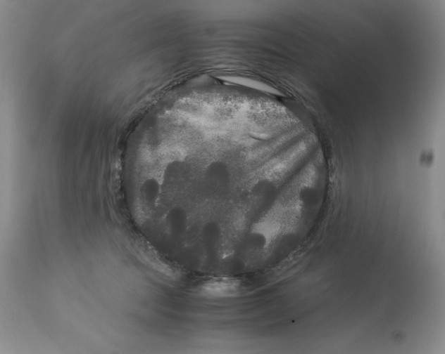 X0000113140369200909251310