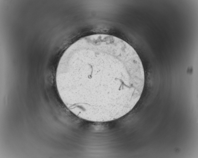 X0000113140370200909251310