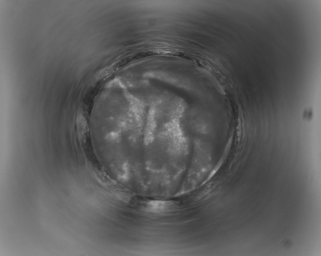 X0000113140371200909251310