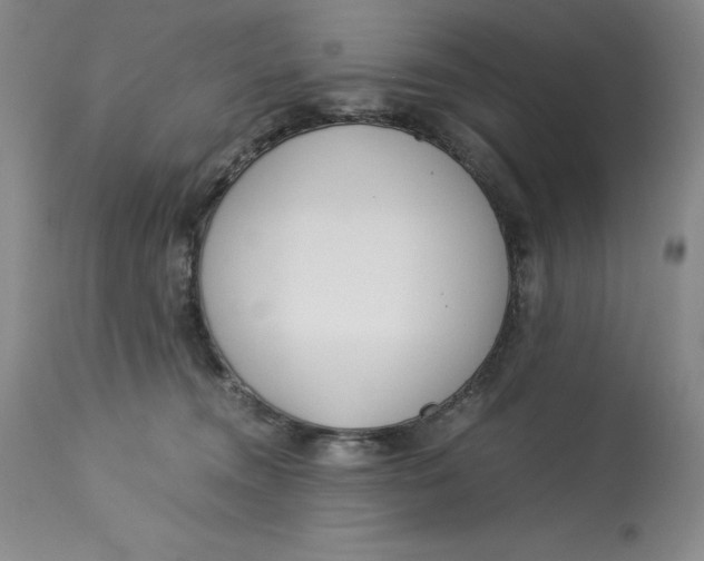 X0000113140372200909251310