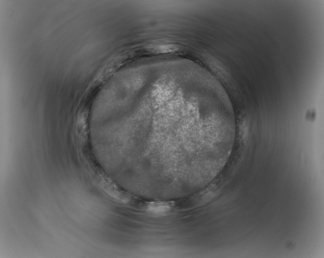 X0000113140373200909251310